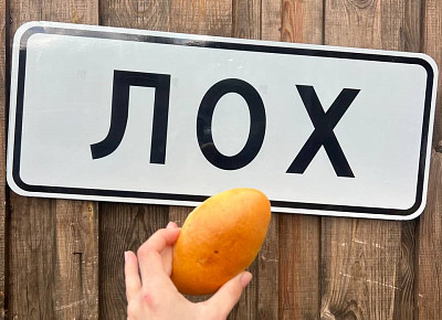В саратовском селе Лох украли последние указатели и табличку для фотозоны